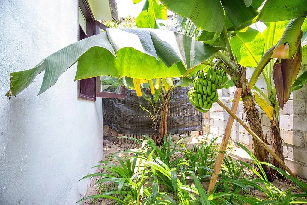 Red Flower Cottages Homestay Hoi An