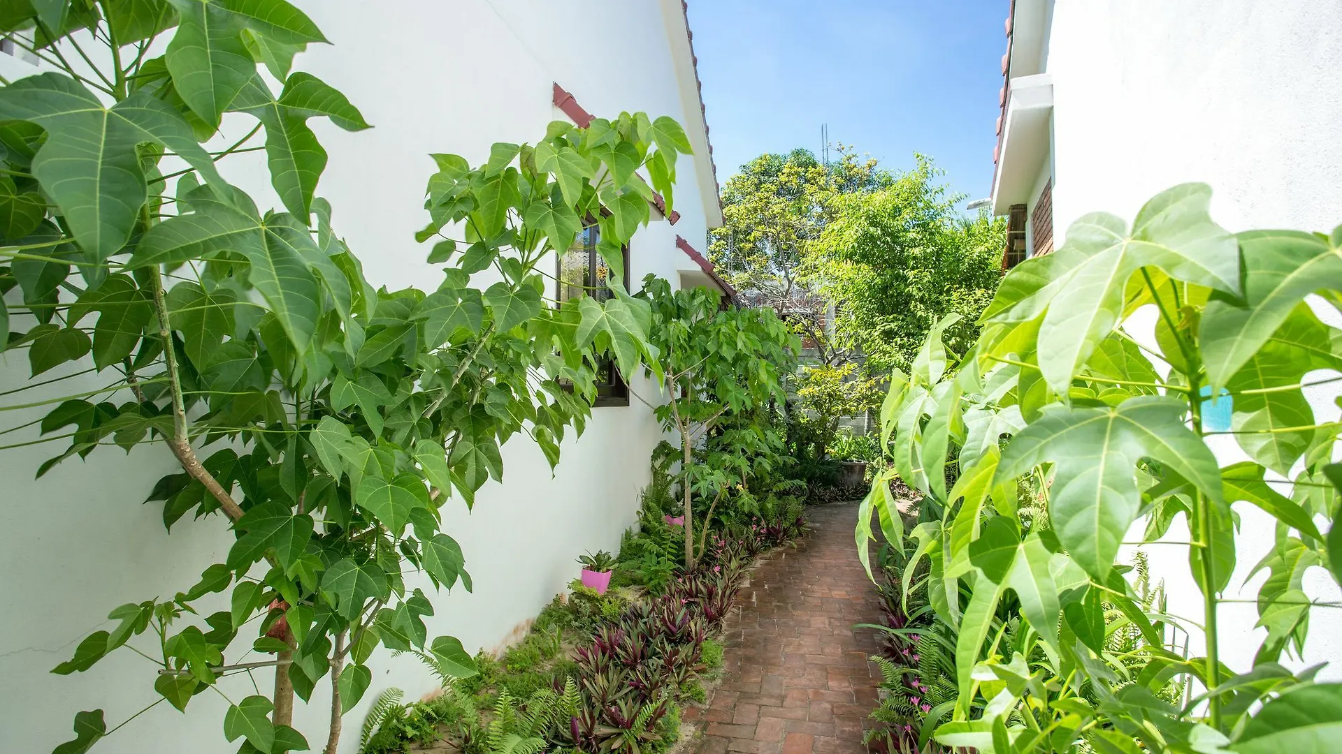Red Flower Cottages Homestay Hoi An Wietnam