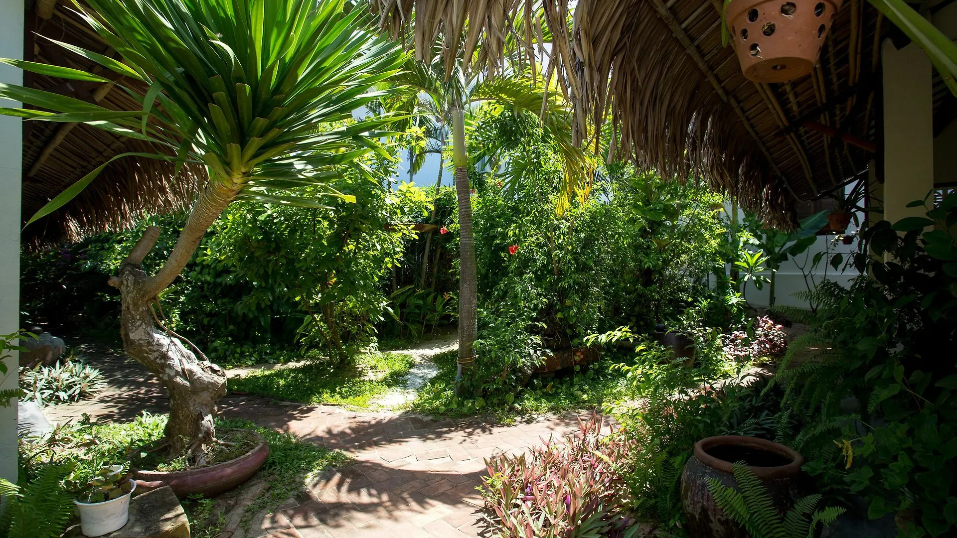 Red Flower Cottages Homestay Hoi An Wietnam
