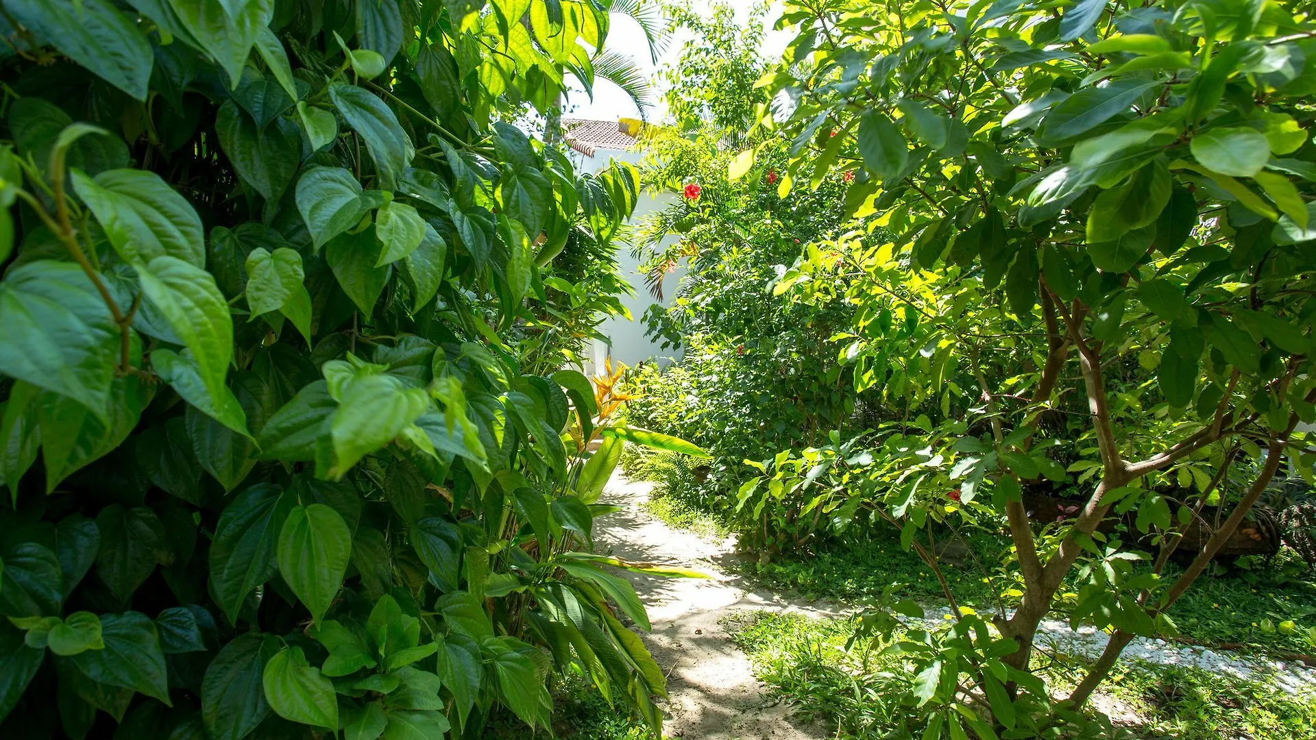 Red Flower Cottages Homestay Hoi An Wietnam